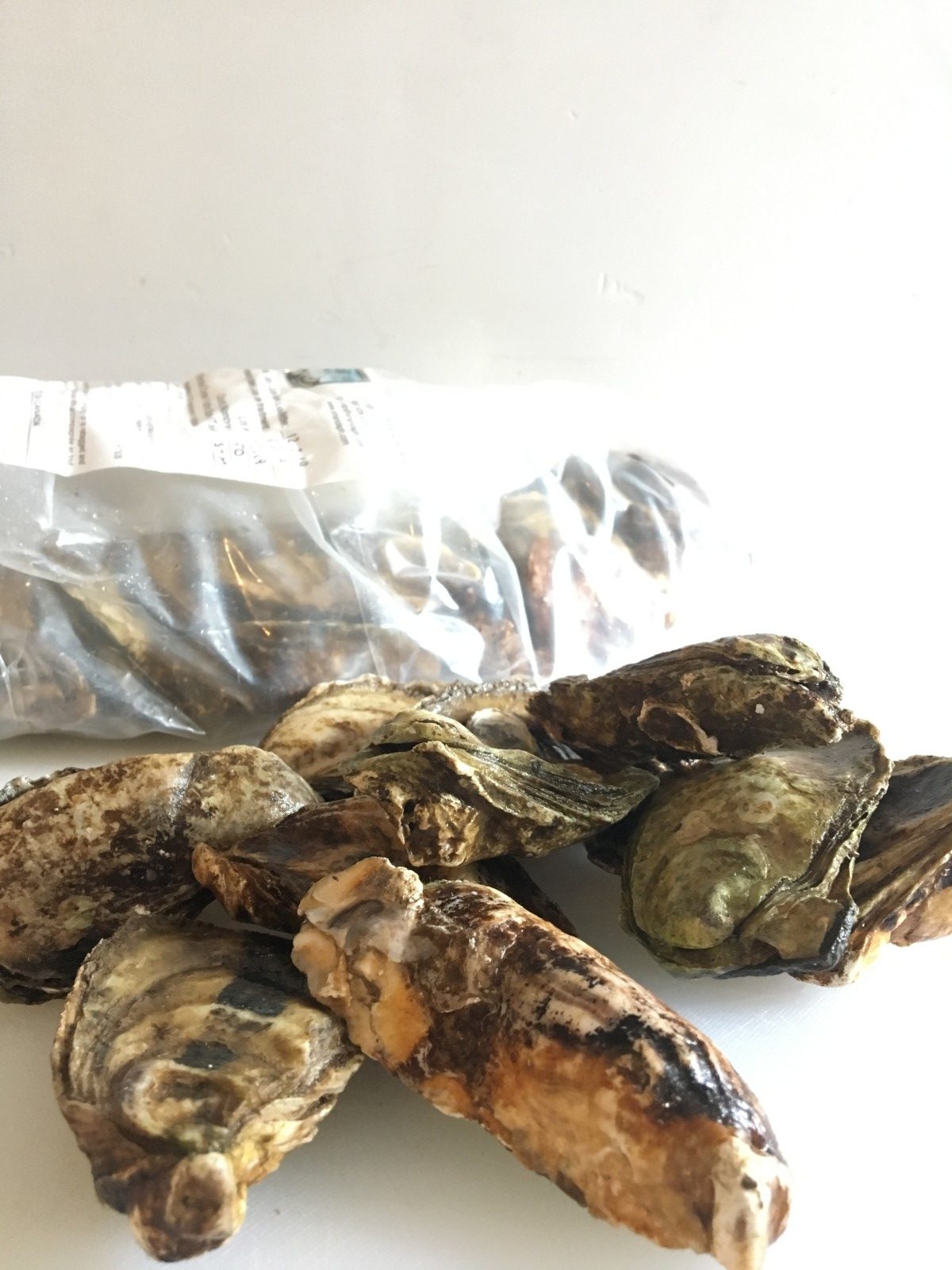 ShanDaph Oysters STANDARDS