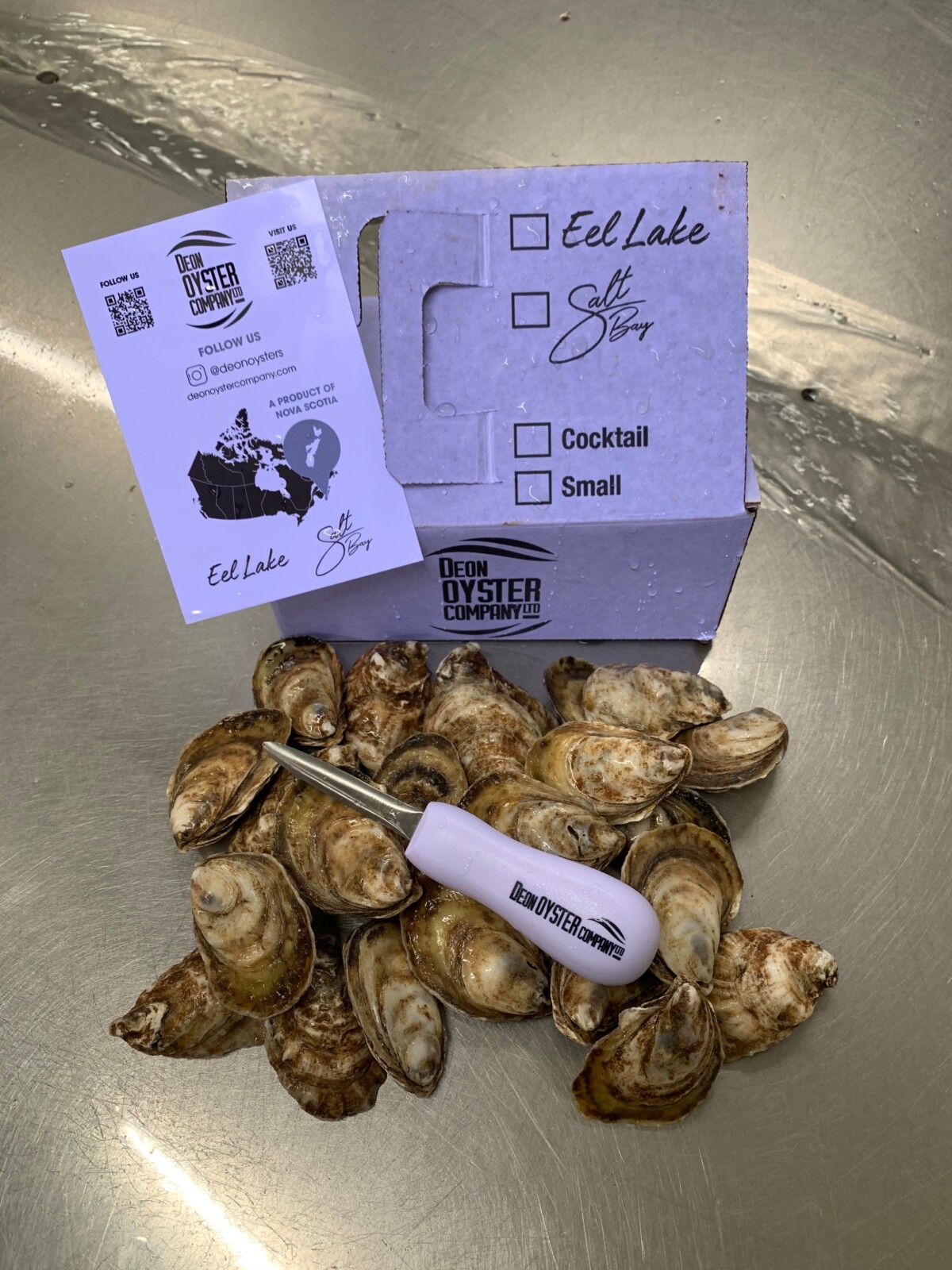 Eel Lake Oysters + Branded Shucker