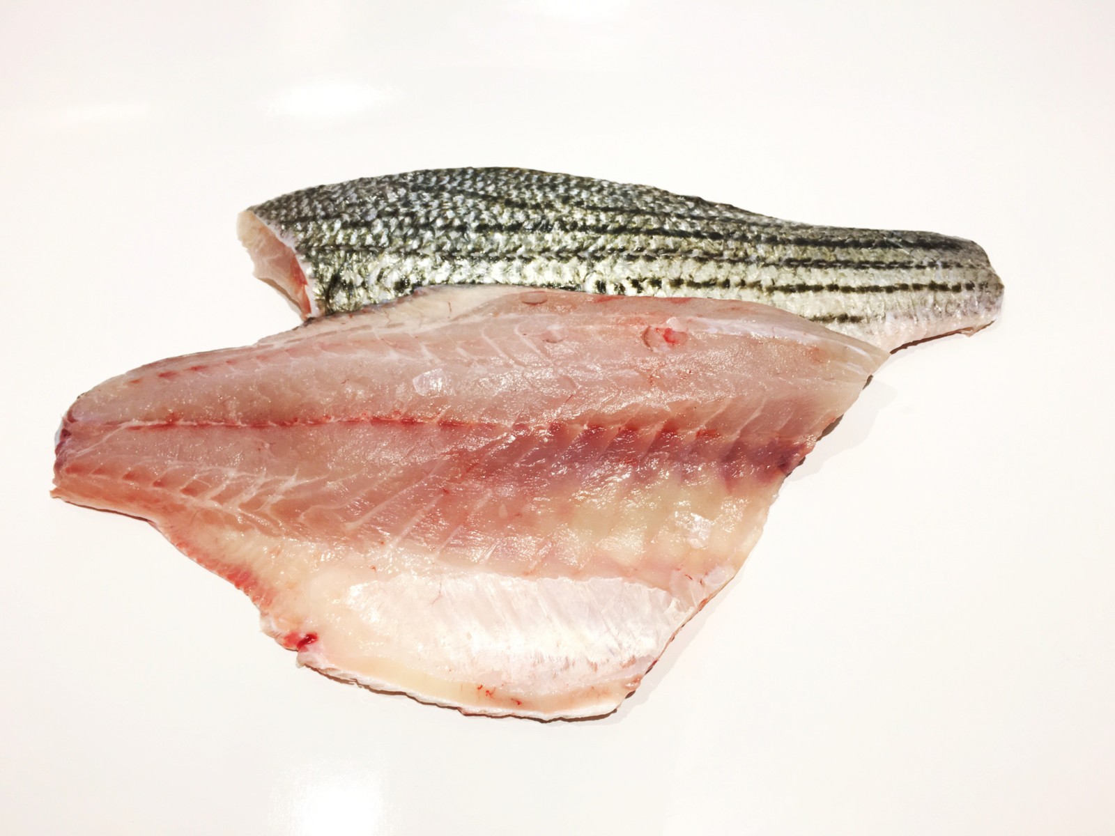 1lb Striped Bass (Frozen Fillets) - $26/ lb - Afishionado Fishmongers