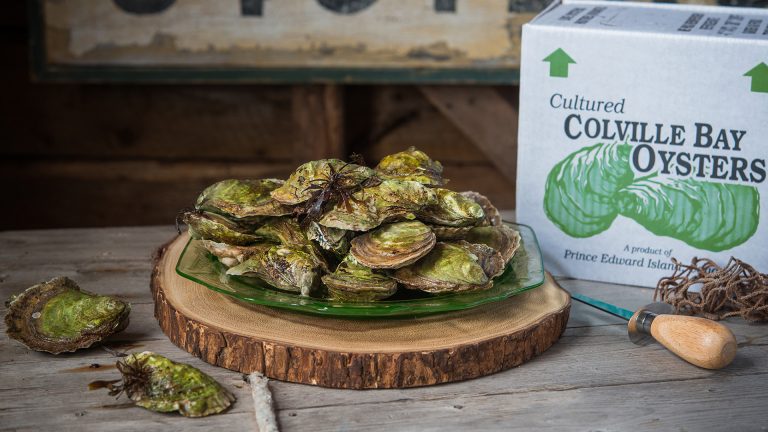 Colville Bay Oysters