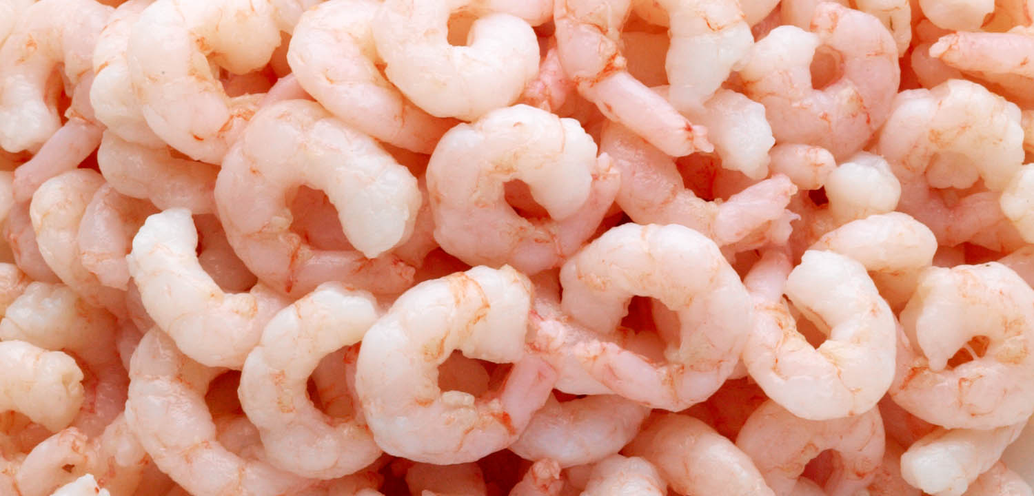 Coldwater Shrimp (5lb bulk pack)