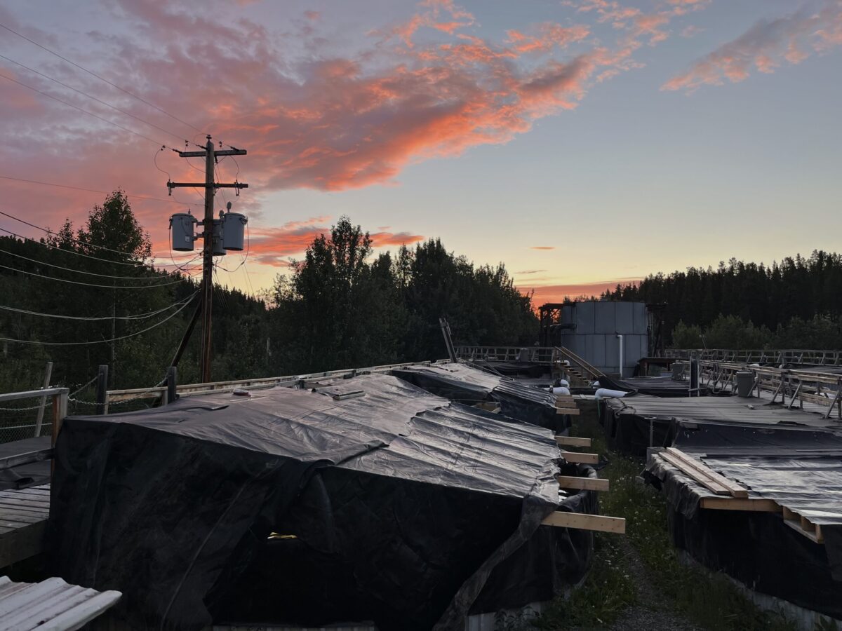 Behind the Scenes of Sustainable Aquaculture: My Experience Working on an Arctic Char Fish Farm
