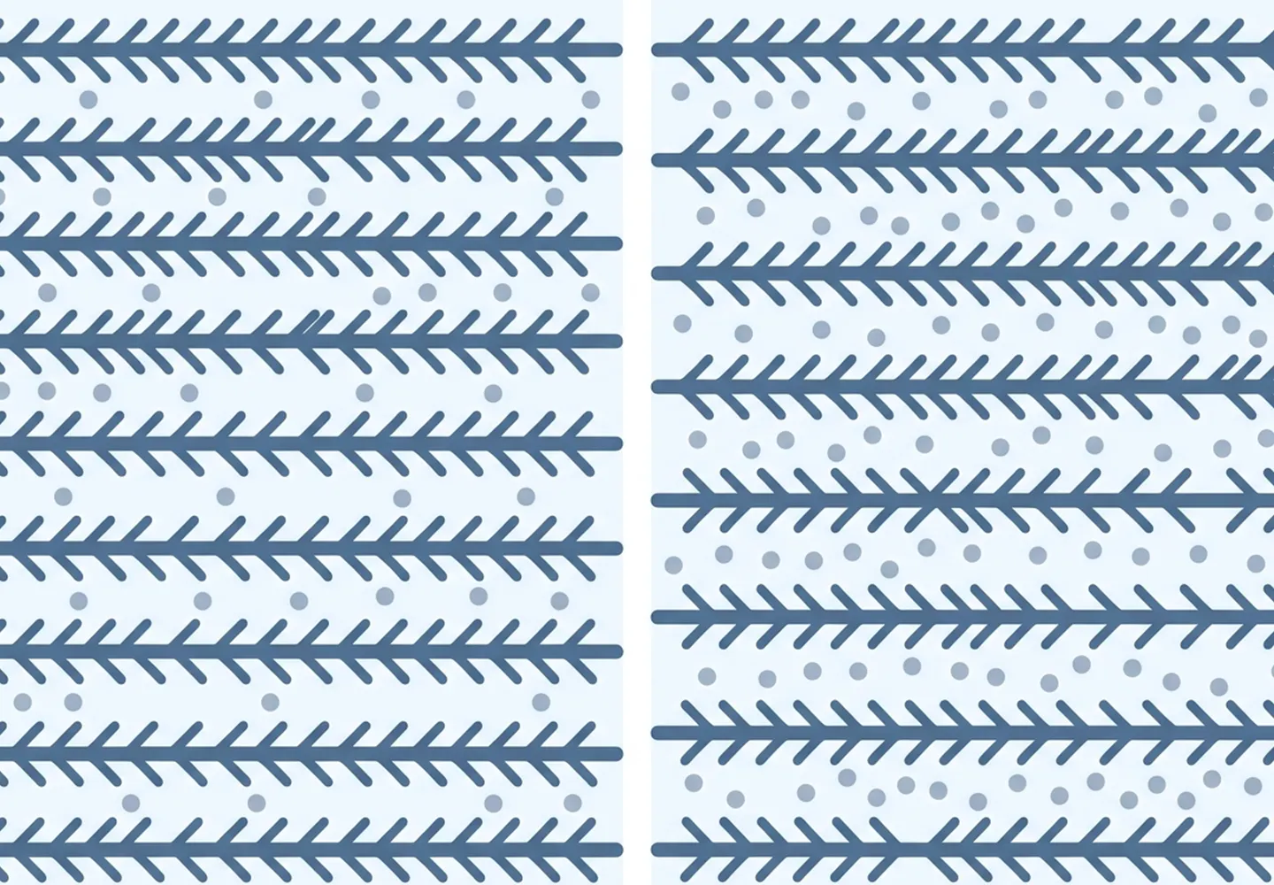 A two-panel diagram of muscle protein filaments, closely spaced on the left and widely spaced on the right, with water shown as small dots between them in both.