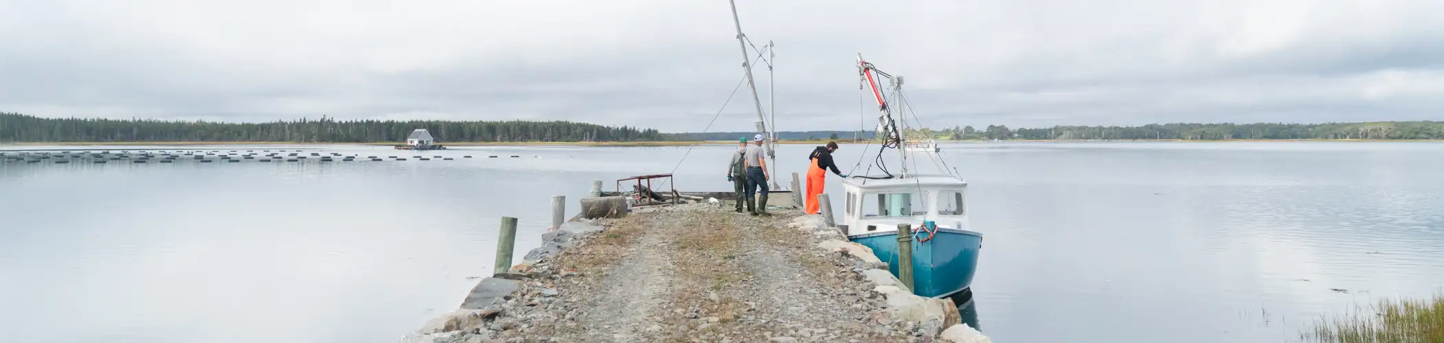 An oyster farm with floating cages on calm water