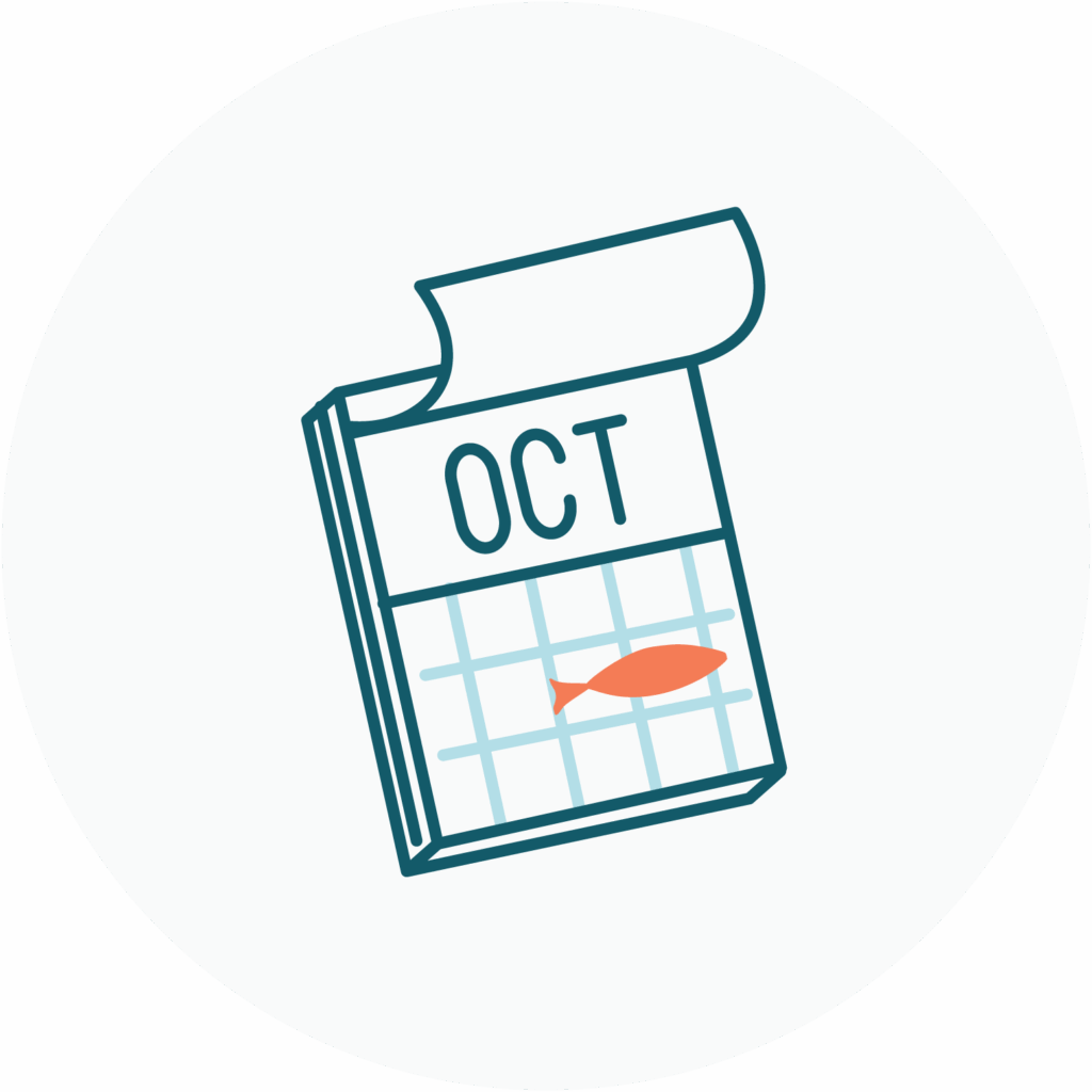 set-schedule