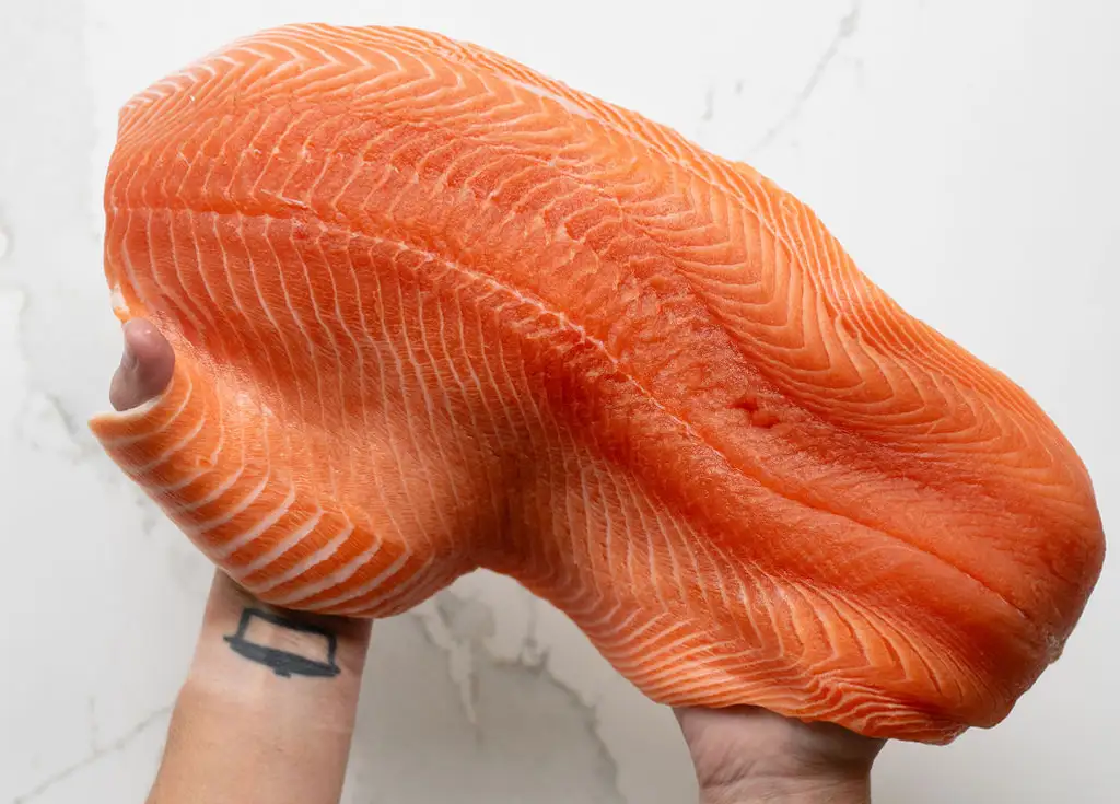 oily fish