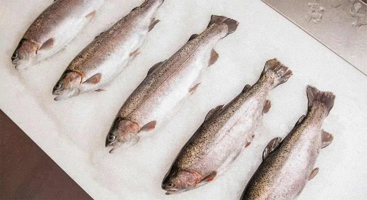 traceable seafood canada
