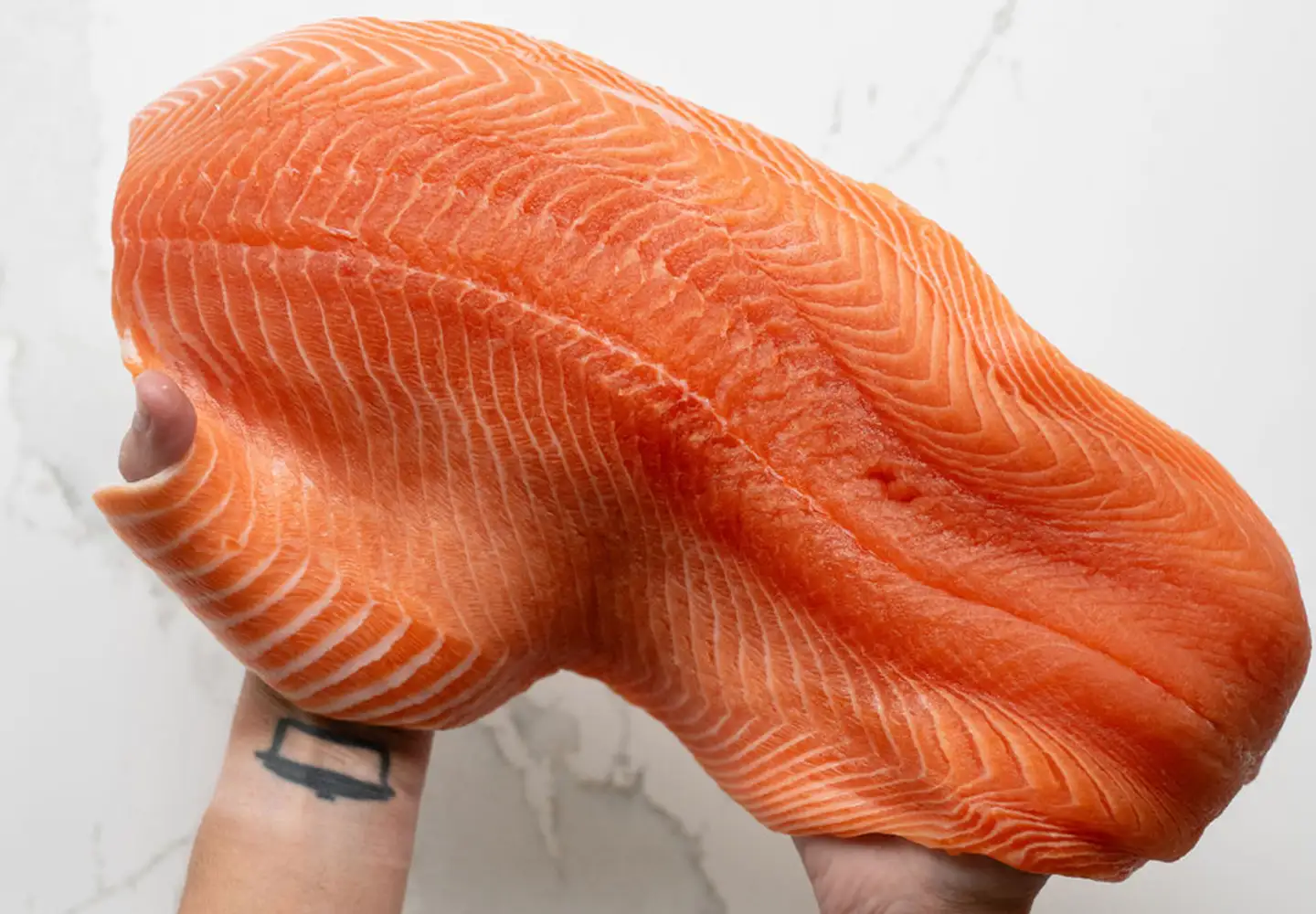 wild vs farmed salmon