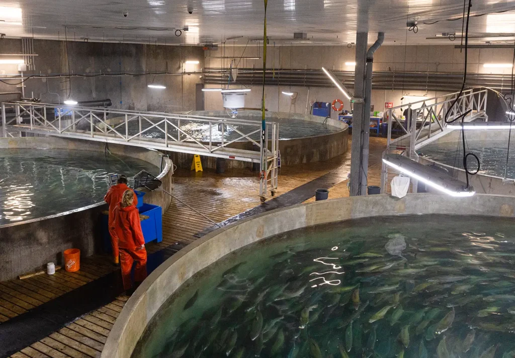Aquaculture Canada salmon farm