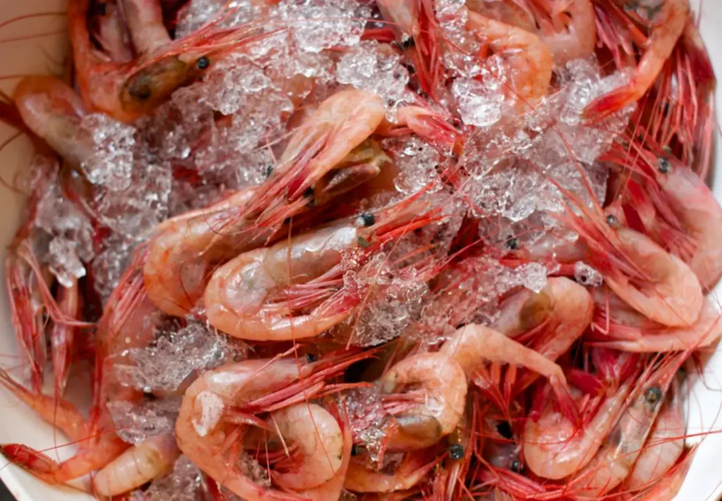 ultimate guide to shrimp