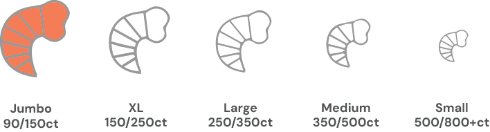Coldwater shrimp size chart