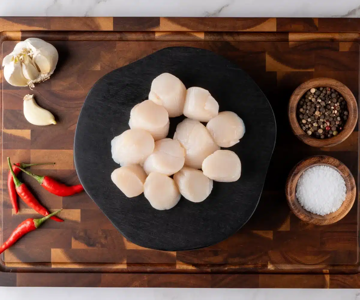 Scallop 2 Sea Scallops