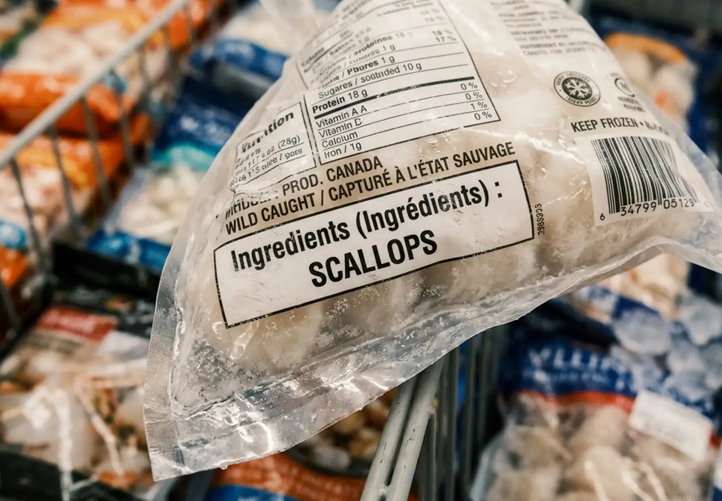 scallop labelling